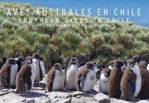 CALENDARIO ANTARTICA 2025