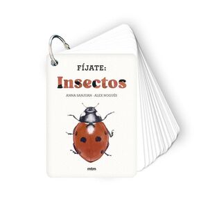 FIJATE: INSECTOS