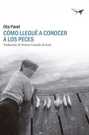 COMO LLEGUE A CONOCER A LOS PECES