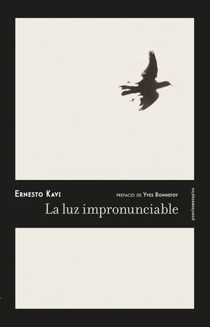 LA LUZ IMPRONUNCIABLE