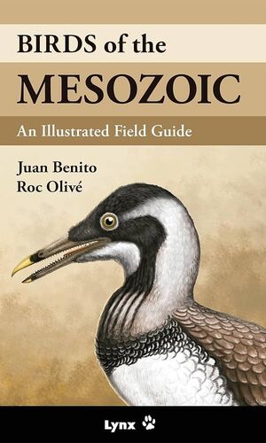 BIRDS OF THE MESOZOIC