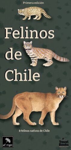 FELINOS DE CHILE