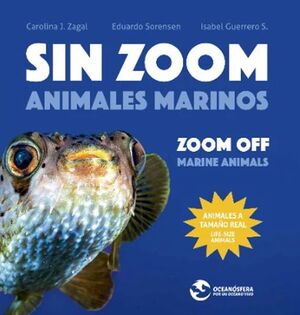 SIN ZOOM ANIMALES MARINOS