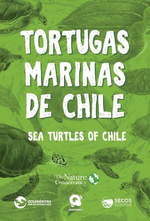 TORTUGAS MARINAS DE CHILE