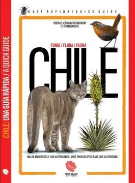 CHILE: UNA GUIA RAPIDA