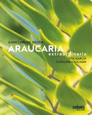 ARAUCARIA EXTRAORDINARIA