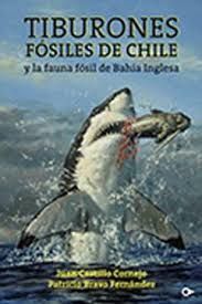 TIBURONES FOSILES DE CHILE