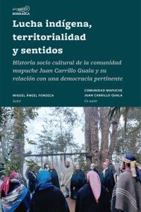 LUCHA INDIGENA, TERRITORIALIDAD Y SENTIDOS