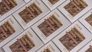 CONSTRUCCION EN QUINCHA LIVIANA