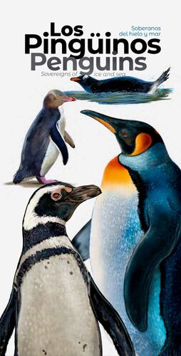 LOS PINGUINOS , SOBERANOS DEL HIELO Y MAR