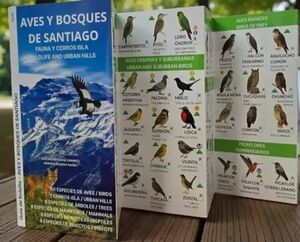AVES Y BOSQUES DE SANTIAGO