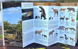 CUEVAS DEL MILODON. GUIA BILINGÜE