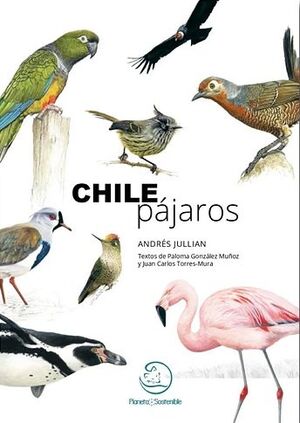 CHILE PAJAROS