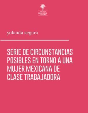 SERIE DE CIRCUNSTANCIAS POSIBLES EN TORNO A UNA MUJER MEXICANA DE CLASE TRABAJADORA