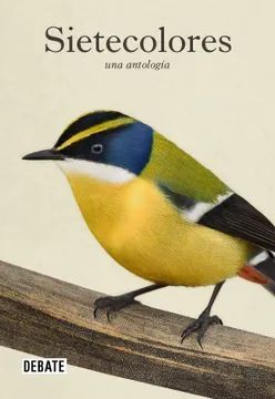 SIETECOLORES: UNA ANTOLOGIA