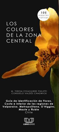 LOS COLORES DE LA ZONA CENTRAL