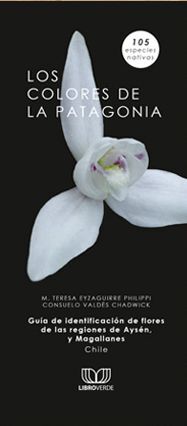 LOS COLORES DE LA PATAGONIA