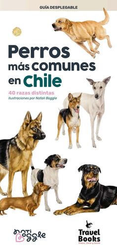 PERROS MAS COMUNES EN CHILE
