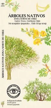 ARBOLES NATIVOS ZONA NORTE DE CHILE