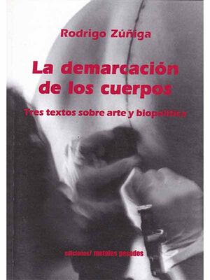 DEMARCACION DE LOS CUERPOS, LA