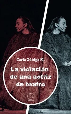 LA VIOLACION DE UNA ACTRIZ DE TEATRO