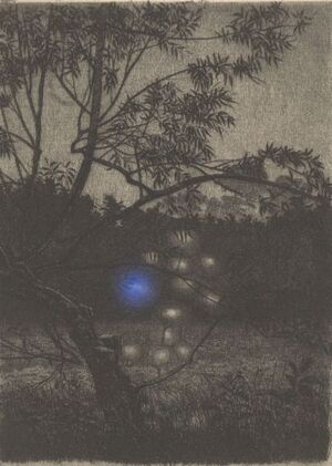 MANIFESTACIONES DE LUZ