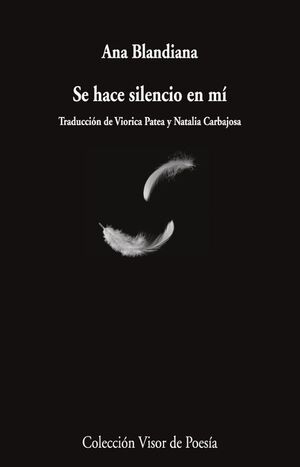 SE HACE SILENCIO EN MI