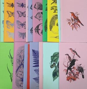 LIBRETAS DE COLORES