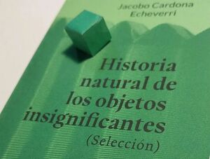 HISTORIA NATURAL DE LOS OBJETOS INSIGNIFICANTES