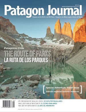 REVISTA PATAGON JOURNAL 31